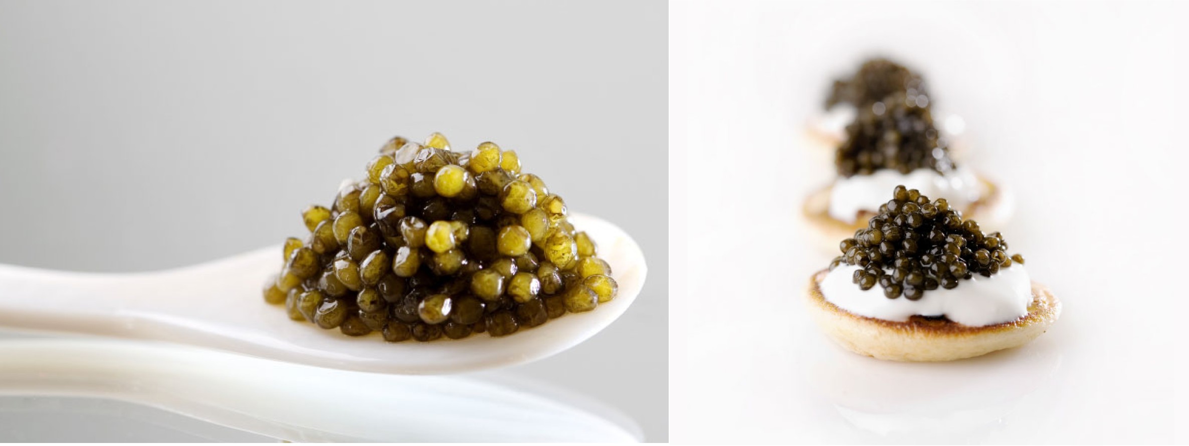 Casual Caviar: Your Guide to Actually Enjoying and Even Affording